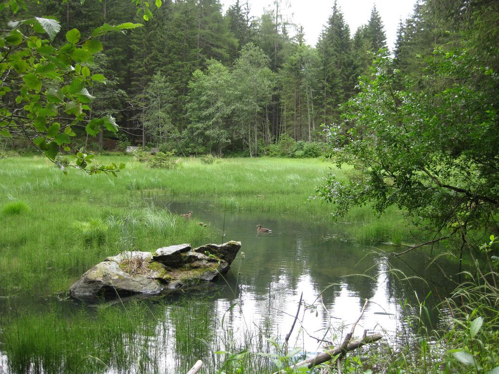 Almhutte Adlerhorst * Heiligenblut