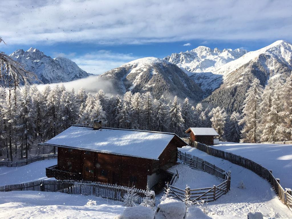 Almhutte Adlerhorst Holiday home *