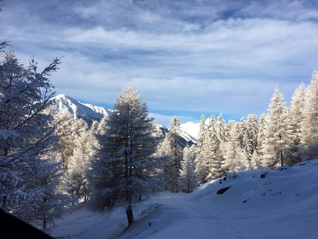 Almhutte Adlerhorst * Heiligenblut