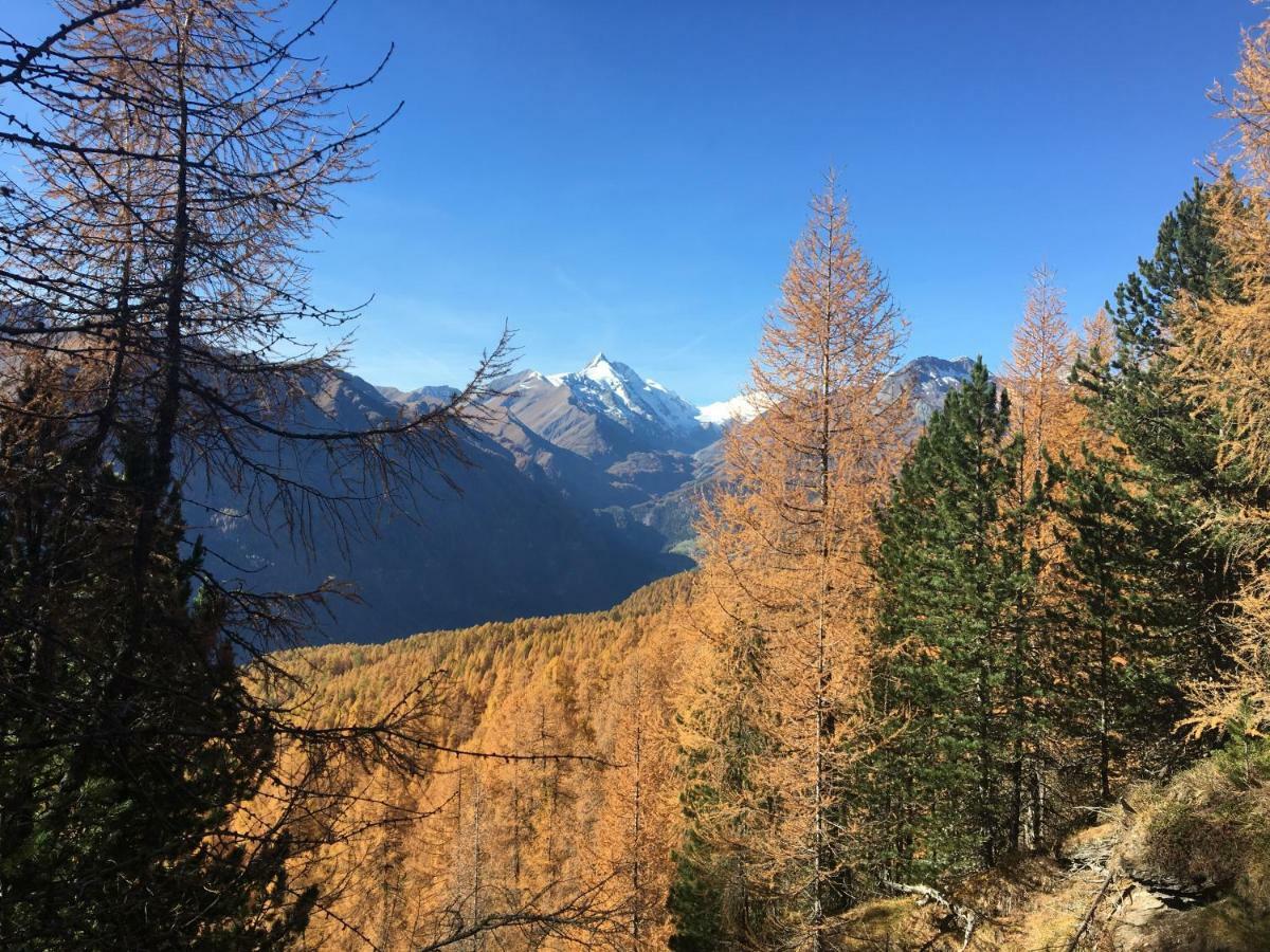 Almhutte Adlerhorst *